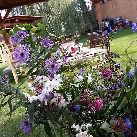Agriturismo Il Gualdo Di Sotto Farm stay *