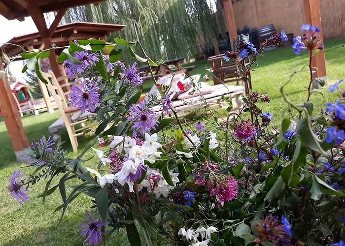 Agriturismo Il Gualdo Di Sotto בית חווה *